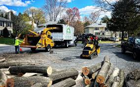 Best Sod Installation  in California, PA